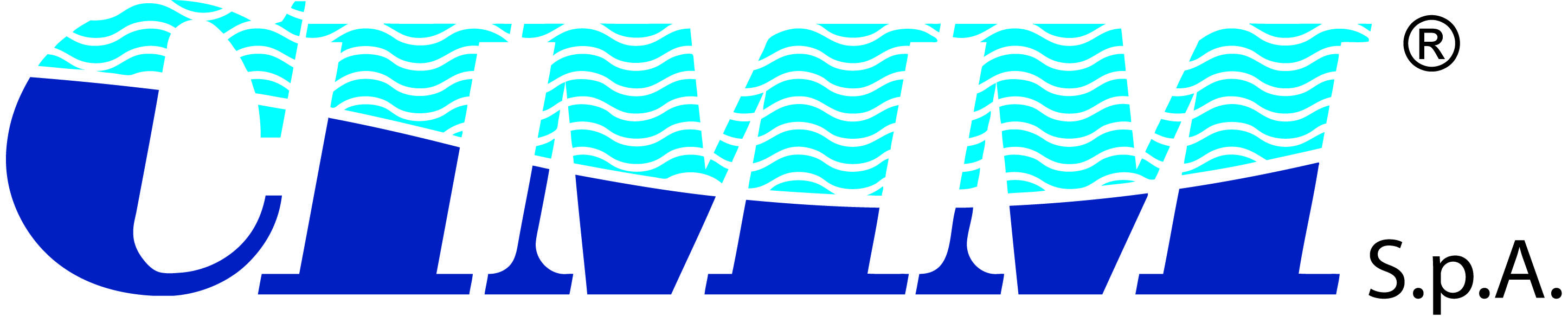 logo CIMMspa_r